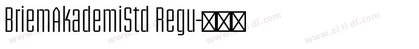 BriemAkademiStd Regu字体转换